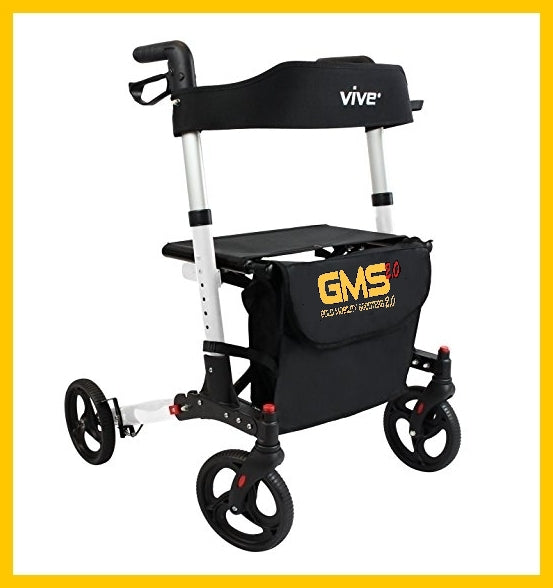 Vive® Premium Walker Rental | Cruise Approved | Port Canaveral Approved